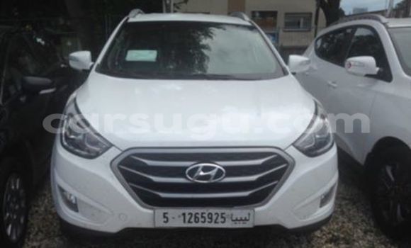 Buy New Hyundai Accent White Car in Ouagadougou in Burkina Faso Buy New Hyundai Accent White Car in Ouagadougou in Burkina Faso