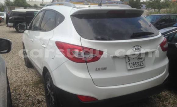 Buy New Hyundai Accent White Car in Ouagadougou in Burkina Faso Buy New Hyundai Accent White Car in Ouagadougou in Burkina Faso