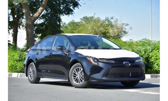 Buy Import Toyota Corolla Black Car in Import - Dubai in Burkina Faso Buy Import Toyota Corolla Black Car in Import - Dubai in Burkina Faso