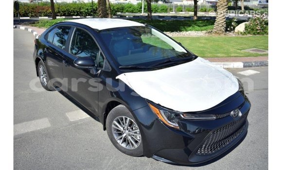 Buy Import Toyota Corolla Black Car in Import - Dubai in Burkina Faso Buy Import Toyota Corolla Black Car in Import - Dubai in Burkina Faso
