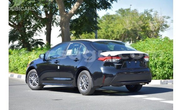 Buy Import Toyota Corolla Black Car in Import - Dubai in Burkina Faso Buy Import Toyota Corolla Black Car in Import - Dubai in Burkina Faso