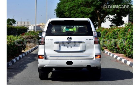 Buy Import Lexus GX 460 White Car in Import - Dubai in Burkina Faso Buy Import Lexus GX 460 White Car in Import - Dubai in Burkina Faso