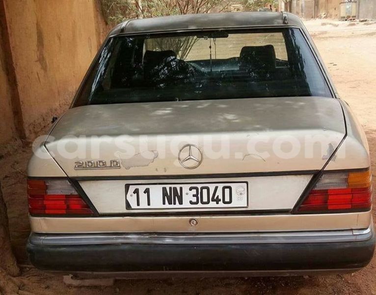 Big with watermark 17361815 1480818941963102 6314346449010111322 n