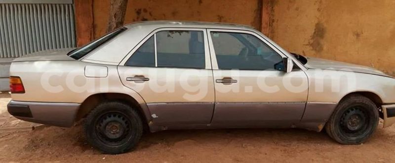 Big with watermark 17362468 1477189875689466 5699783990963171139 n