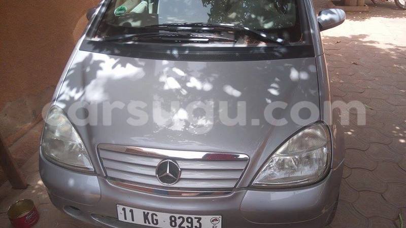 Big with watermark 33