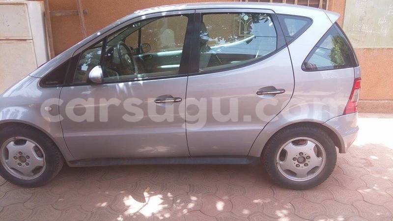 Big with watermark 333