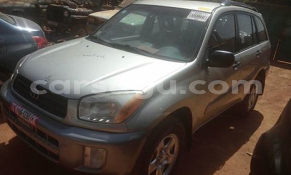 Buy New Toyota RAV4 Silver Car in Ouagadougou in Burkina Faso Buy New Toyota RAV4 Silver Car in Ouagadougou in Burkina Faso