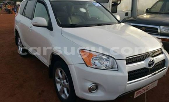 Acheter Neuf Voiture Toyota RAV4 Blanc à Ouagadougou, Burkina-Faso Acheter Neuf Voiture Toyota RAV4 Blanc à Ouagadougou, Burkina-Faso