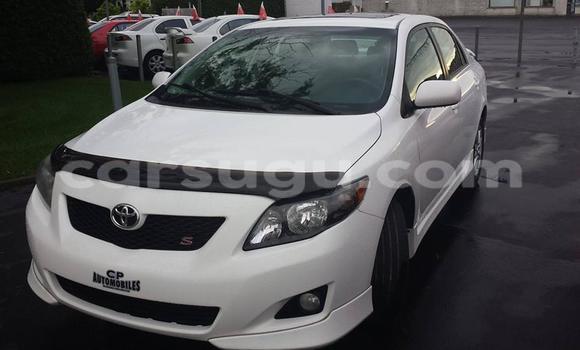 Acheter Neuf Voiture Toyota Corolla Noir à Ouagadougou, Burkina-Faso Acheter Neuf Voiture Toyota Corolla Noir à Ouagadougou, Burkina-Faso