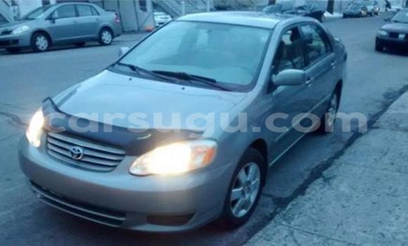 Acheter Neuf Voiture Toyota Corolla Gris à Ouagadougou, Burkina-Faso Acheter Neuf Voiture Toyota Corolla Gris à Ouagadougou, Burkina-Faso