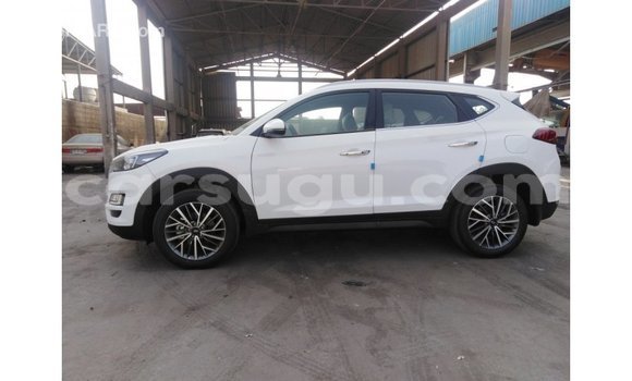 Acheter Import Voiture Hyundai Tucson Blanc à Import - Dubai, Burkina-Faso Acheter Import Voiture Hyundai Tucson Blanc à Import - Dubai, Burkina-Faso