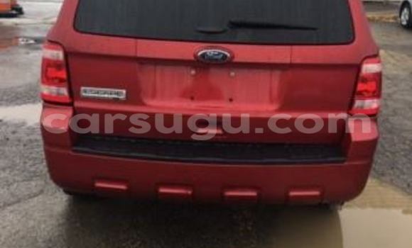 Acheter Neuf Voiture Ford Club Wagon Rouge à Ouagadougou, Burkina-Faso Acheter Neuf Voiture Ford Club Wagon Rouge à Ouagadougou, Burkina-Faso