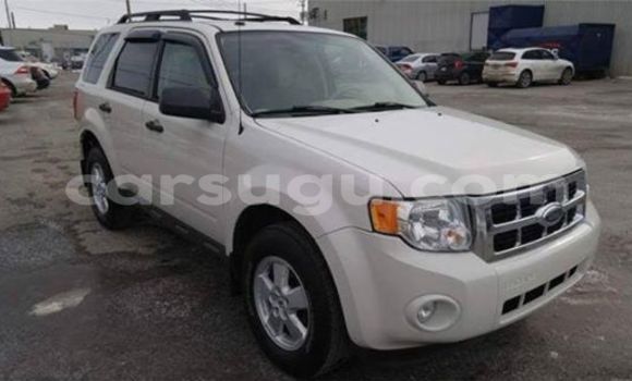 Acheter Neuf Voiture Ford Escape Noir à Ouagadougou, Burkina-Faso