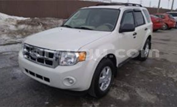 Acheter Neuf Voiture Ford Escape Noir à Ouagadougou, Burkina-Faso Acheter Neuf Voiture Ford Escape Noir à Ouagadougou, Burkina-Faso