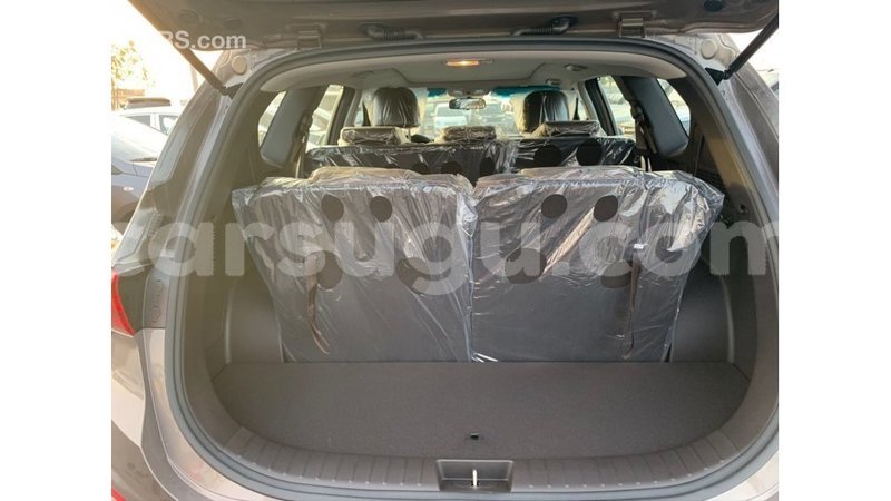 Big with watermark hyundai santa fe burkina faso import dubai 5440