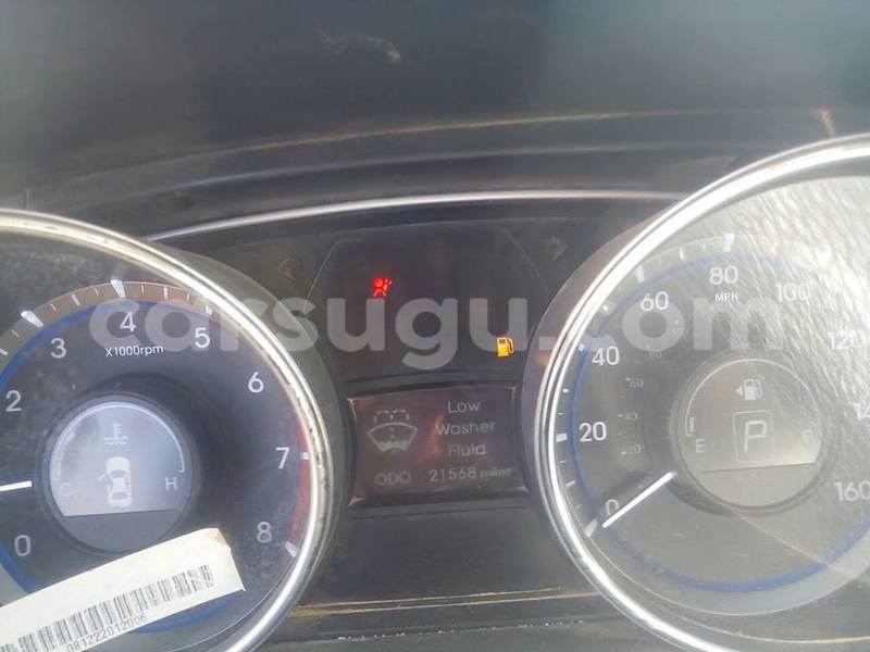 Big with watermark 222