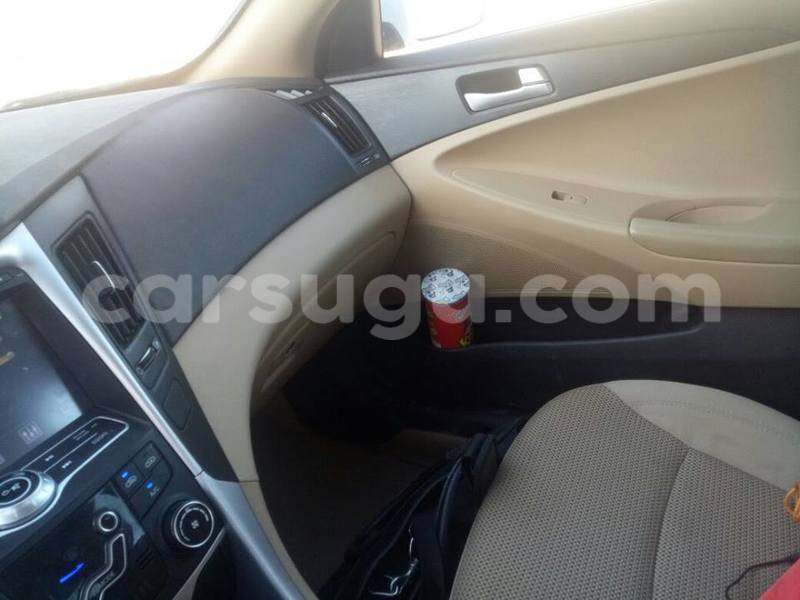 Big with watermark 2222