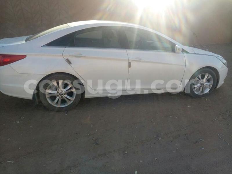 Big with watermark 222222222222222222