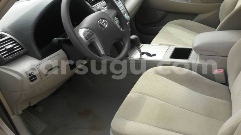 Big with watermark 444