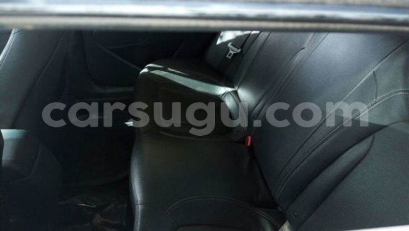 Big with watermark 5