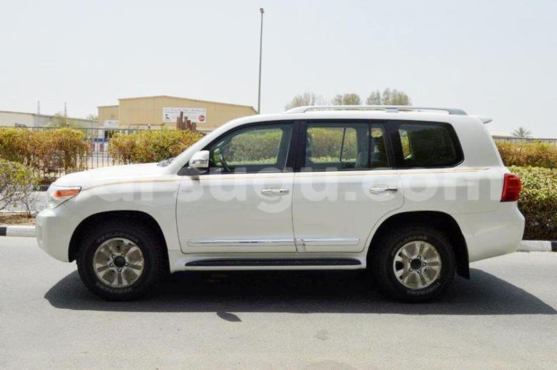 Big with watermark 11