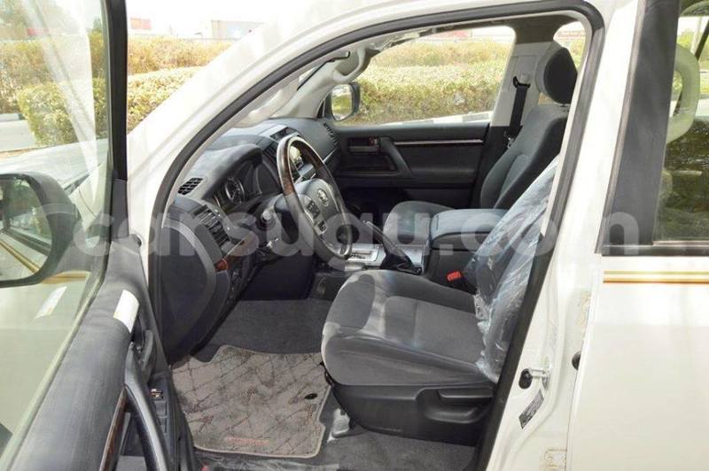 Big with watermark 111