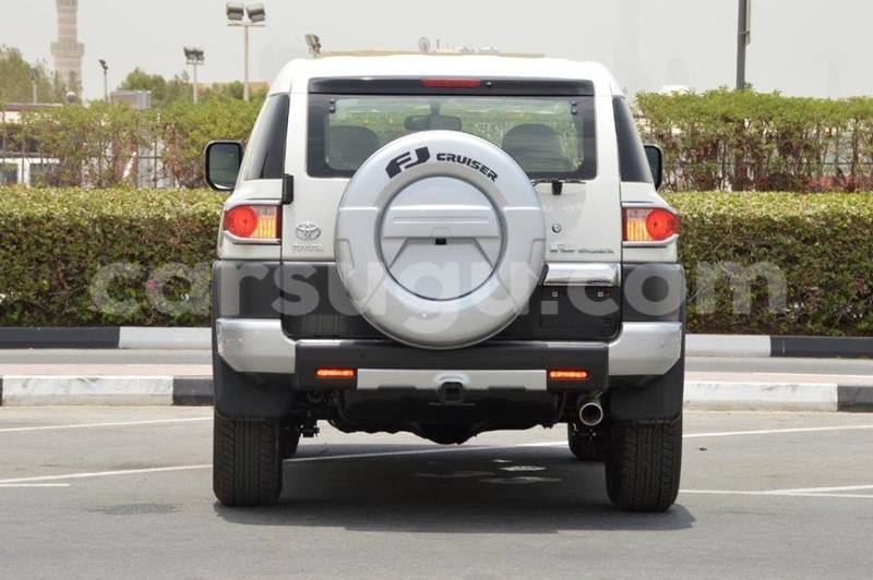 Big with watermark 33