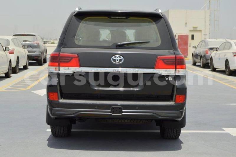 Big with watermark 444