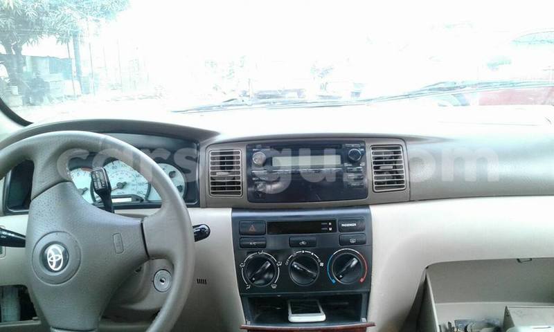 Big with watermark 9999