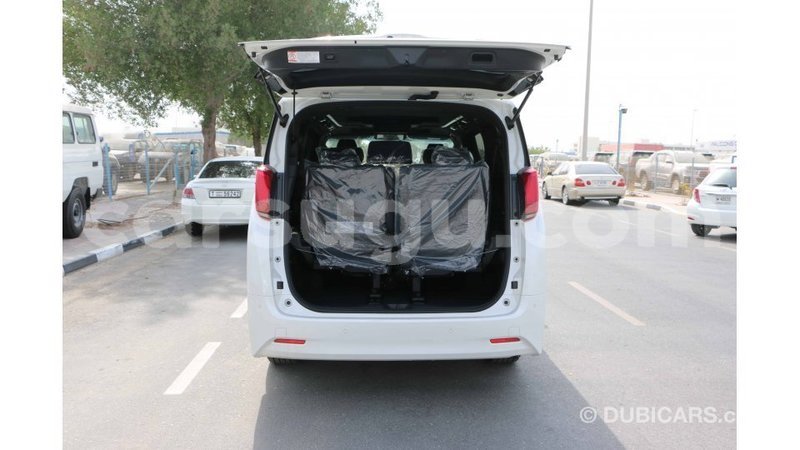 Big with watermark toyota alphard burkina faso import dubai 5516