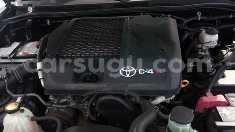 Big with watermark 6