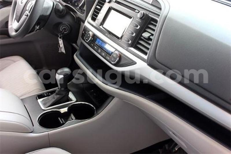 Big with watermark 999