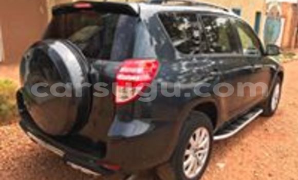 Acheter Neuf Voiture Toyota RAV4 Noir à Ouagadougou, Burkina-Faso Acheter Neuf Voiture Toyota RAV4 Noir à Ouagadougou, Burkina-Faso