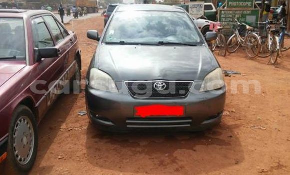 Buy New Toyota Corolla Silver Car in Ouagadougou in Burkina Faso Buy New Toyota Corolla Silver Car in Ouagadougou in Burkina Faso