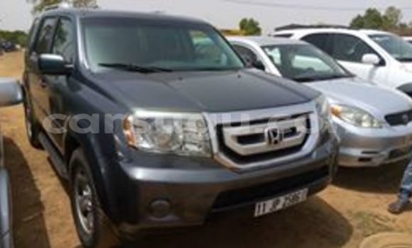 Buy New Honda Pilot Other Car in Ouagadougou in Burkina Faso Buy New Honda Pilot Other Car in Ouagadougou in Burkina Faso