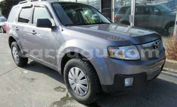 Acheter Occasion Voiture Mazda Tribute Gris à Ouagadougou, Burkina-Faso Acheter Occasion Voiture Mazda Tribute Gris à Ouagadougou, Burkina-Faso