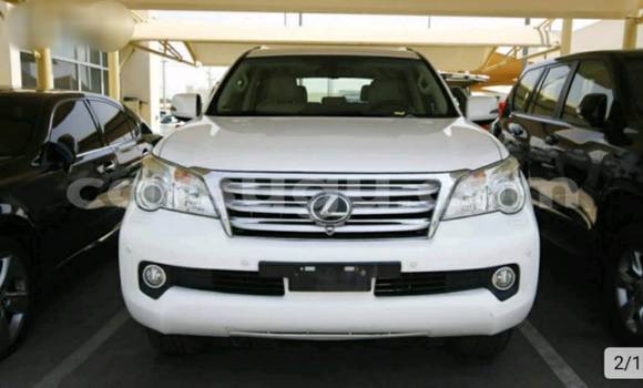 Acheter Neuf Voiture Lexus LX 450 Blanc à Ouagadougou, Burkina-Faso Acheter Neuf Voiture Lexus LX 450 Blanc à Ouagadougou, Burkina-Faso