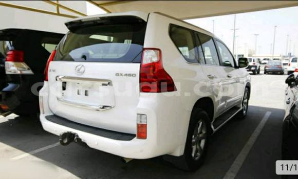 Acheter Neuf Voiture Lexus LX 450 Blanc à Ouagadougou, Burkina-Faso Acheter Neuf Voiture Lexus LX 450 Blanc à Ouagadougou, Burkina-Faso