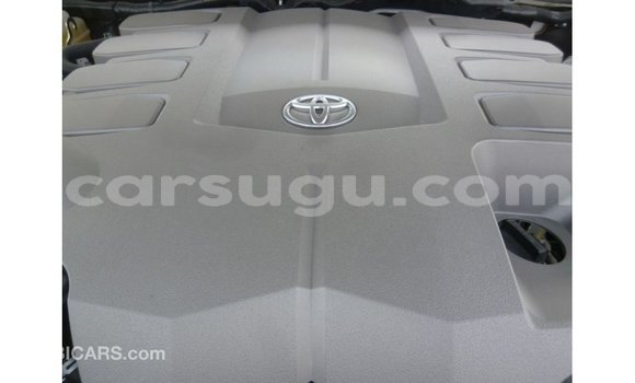 Sayi Imported Toyota Land Cruiser White Mota in Import - Dubai a Burkina Faso Sayi Imported Toyota Land Cruiser White Mota in Import - Dubai a Burkina Faso