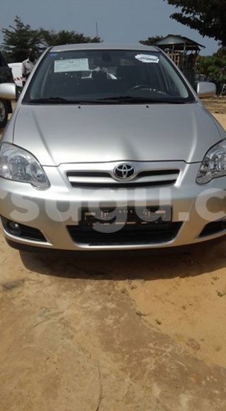 Big with watermark 111111