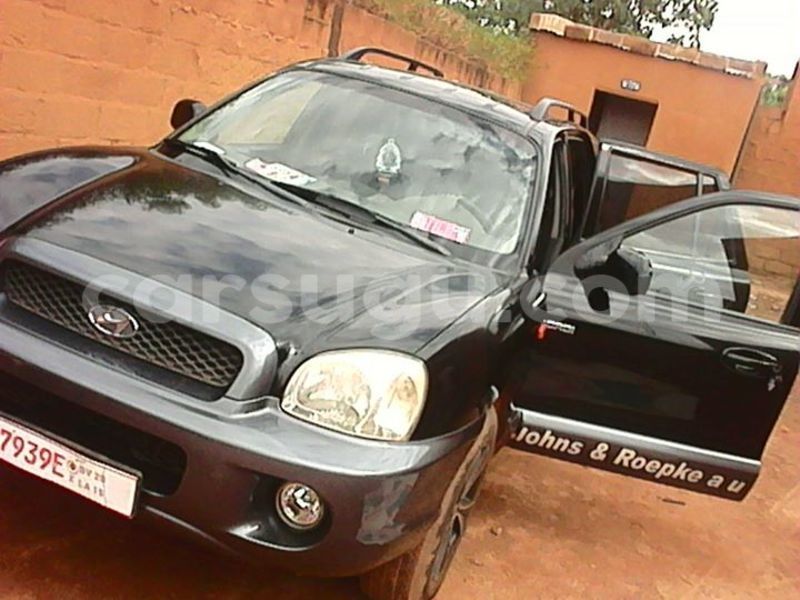 Big with watermark 33333