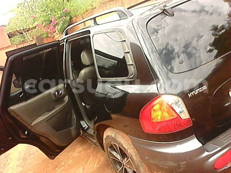 Big with watermark 333333333333333333