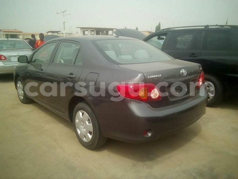 Big with watermark 444