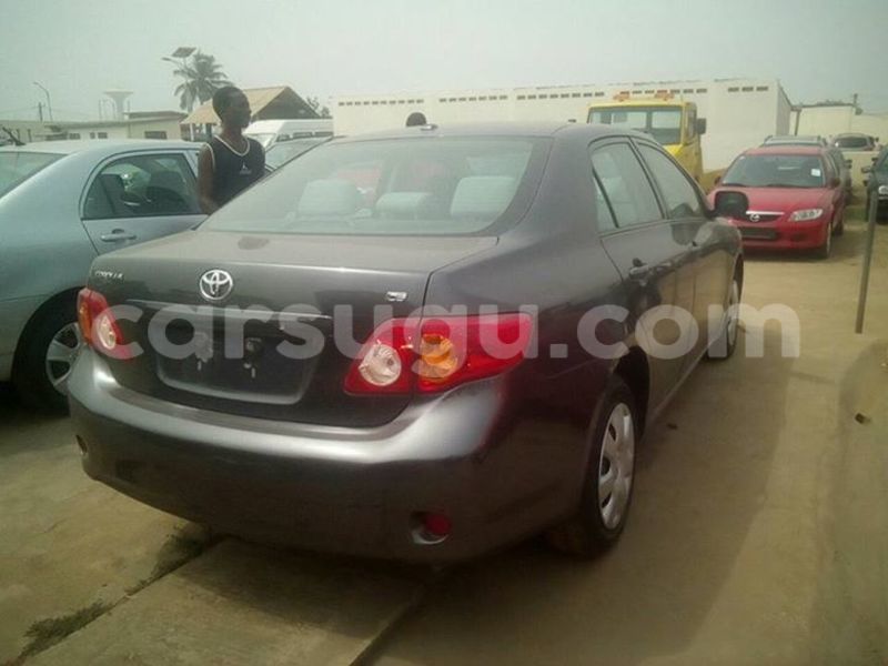 Big with watermark 44