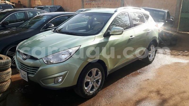 Big with watermark 555