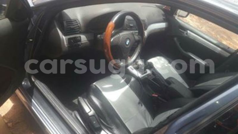 Big with watermark 77