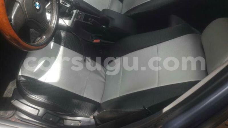 Big with watermark 777