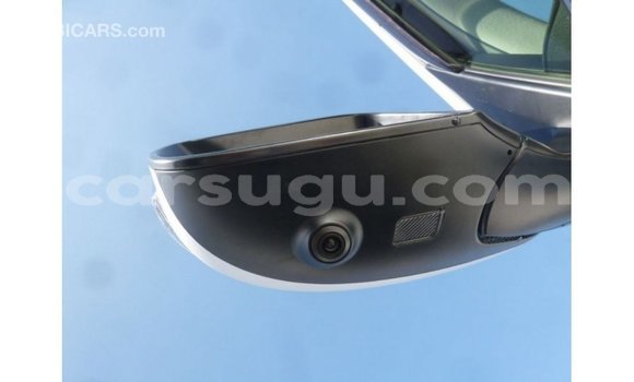 Sayi Imported Toyota Land Cruiser White Mota in Import - Dubai a Burkina Faso Sayi Imported Toyota Land Cruiser White Mota in Import - Dubai a Burkina Faso