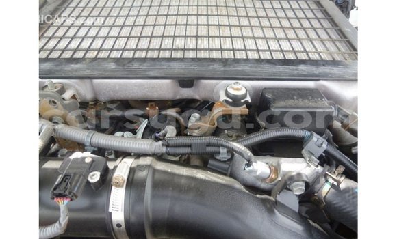 Sayi Imported Toyota Land Cruiser White Mota in Import - Dubai a Burkina Faso Sayi Imported Toyota Land Cruiser White Mota in Import - Dubai a Burkina Faso