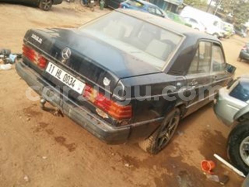 Big with watermark 17799114 1334233306683888 5727619154181733443 n